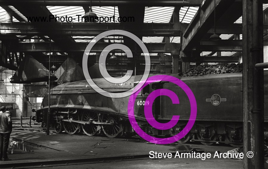 Ex-LNER "A4" Class 4-6-2 No.60019 "Bittern" at York MPD Roundhouse on Wednesday 1st May 1968.