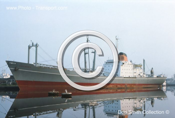 ZEALANDIC - Cargo