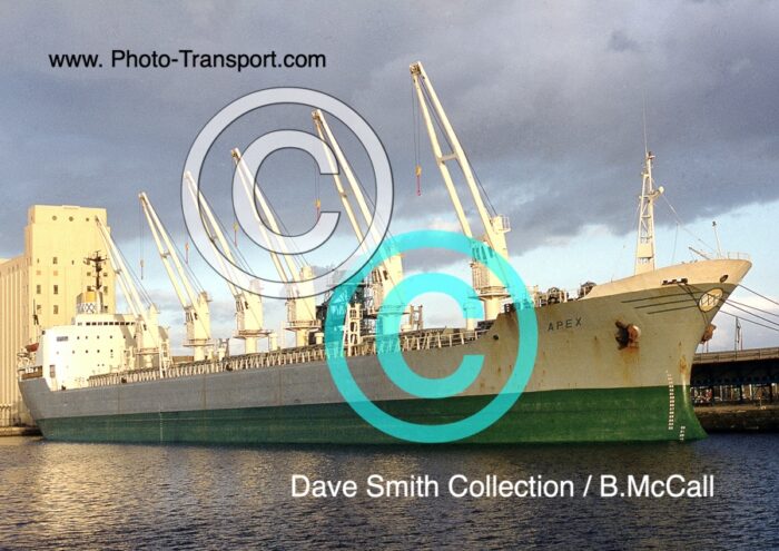 APEX - Bulk Carrier
