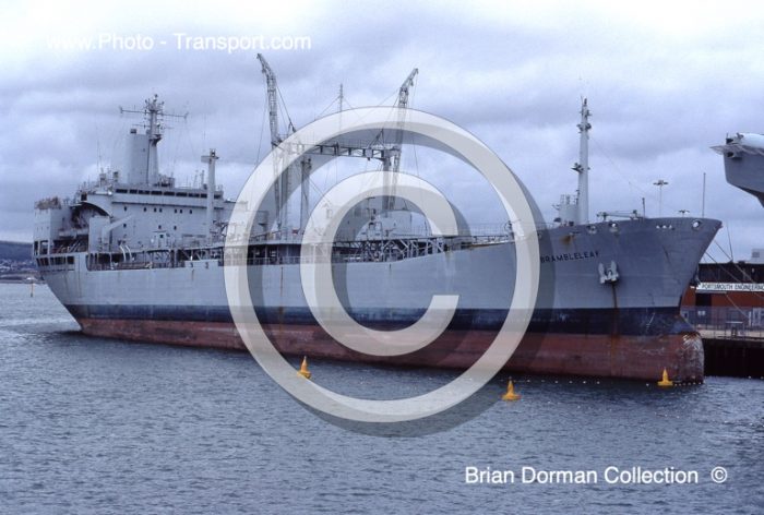 RFA BRAMBELEAF  A81