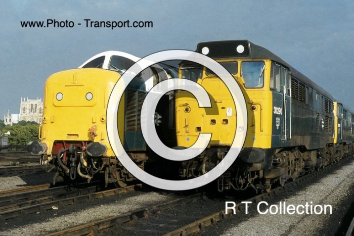 BR Class 31 No.31 290 and Deltic No. 55003 Mold
