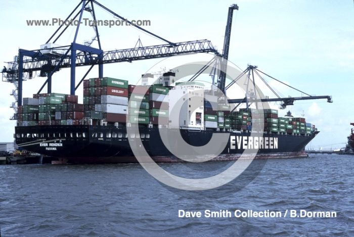 EVER RENOWN -  Container