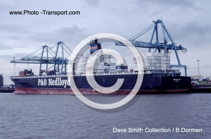 PEGASUS BAY - Container
