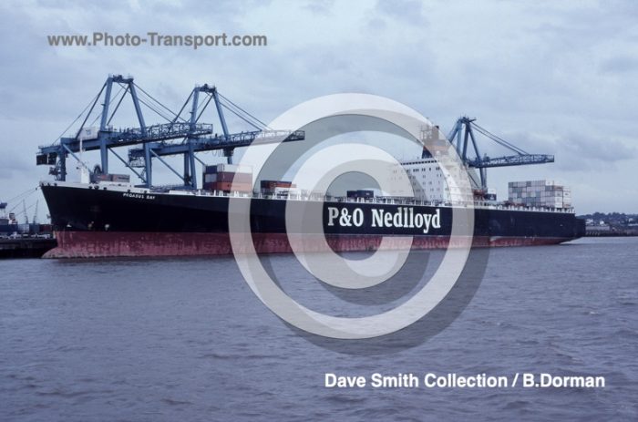 PEGASUS BAY - Container