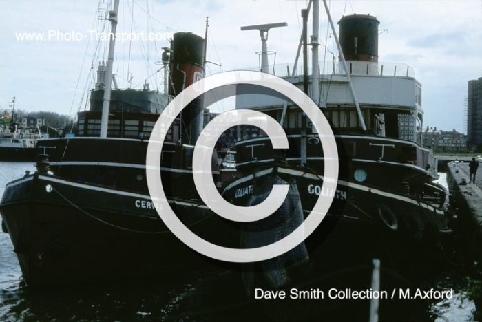 GOLIATH & CERVIA -  Tugs