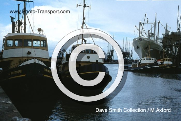 SEA BRISTOLIAN and SEA VOLUNTEER,POLGARTH and another tug with NZ WAITANGI