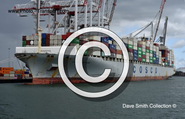 COSCO VIETNAM -  Container