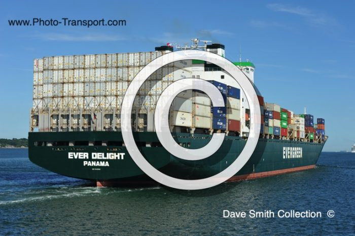 EVER DELIGHT -  Container