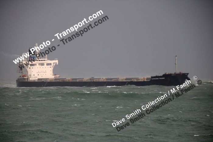 CAPRICORN TRADER  -  Bulker