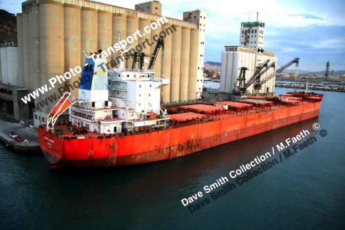 GOLDEN GINGER - Bulker