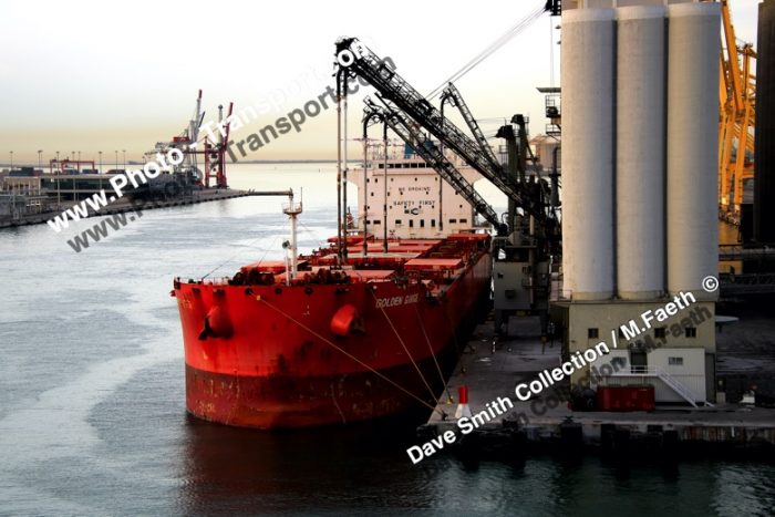 GOLDEN GINGER - Bulker