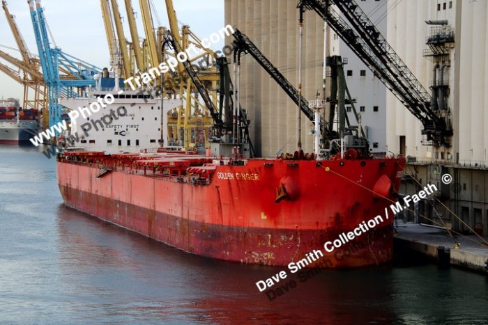 GOLDEN GINGER - Bulker