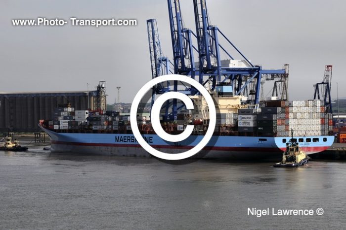 LICA MAERSK - Container