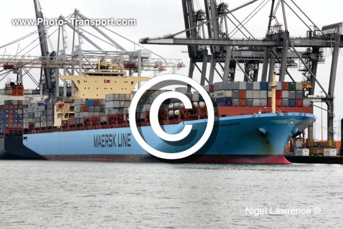 MAERSK SINGAPORE - Container