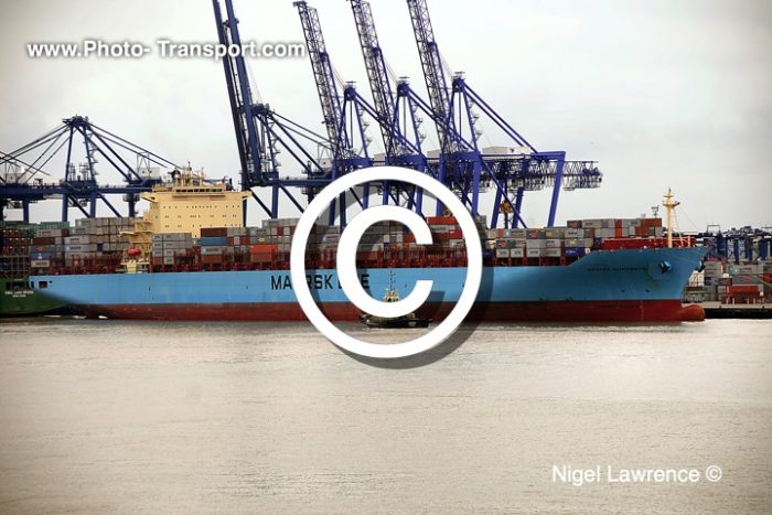 MAERSK SURABAYA - Container