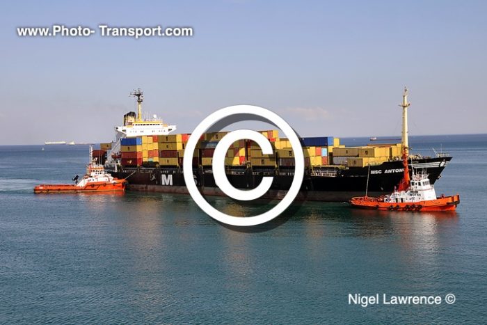 MSC ANTONIA -  Container 
