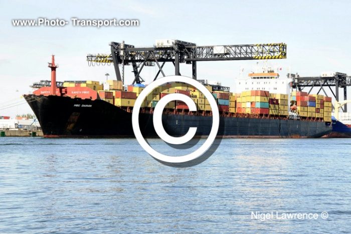 MSC DARWIN - Container
