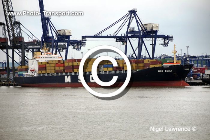 MSC EDNA -  Container