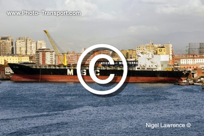 MSC EDNA -  Container
