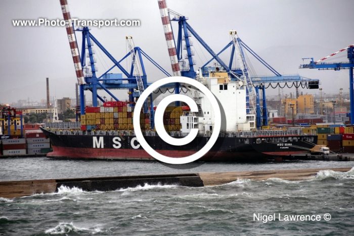 MSC GINA -  Container