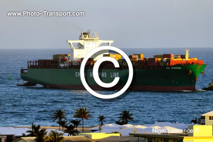 MSC SHENZHEN - Container