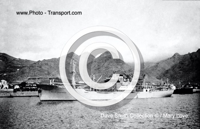 ALIDA GORTHON  -  Bulk Carrier