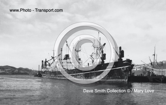 ARTEMISIA   -  Gen Cargo