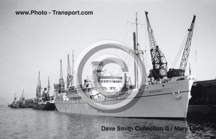 ASSIOUT - White Hull - Pass Gen Cargo