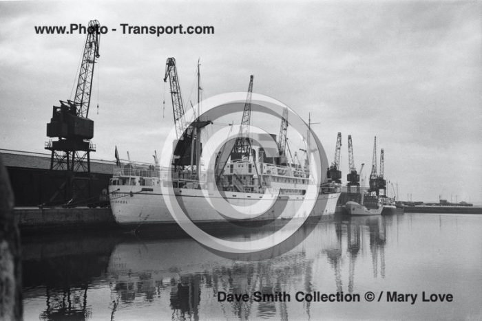 ASSIOUT - White Hull - Pass Gen Cargo