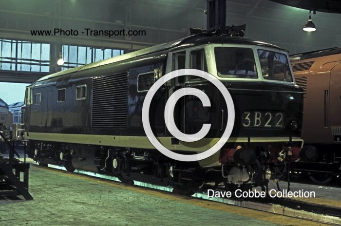 Hymek No.D 7018