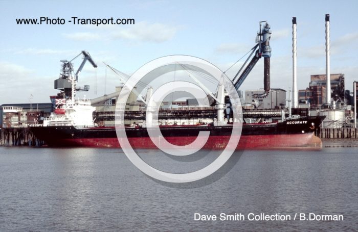 ACCURATE - Bulk Carrier