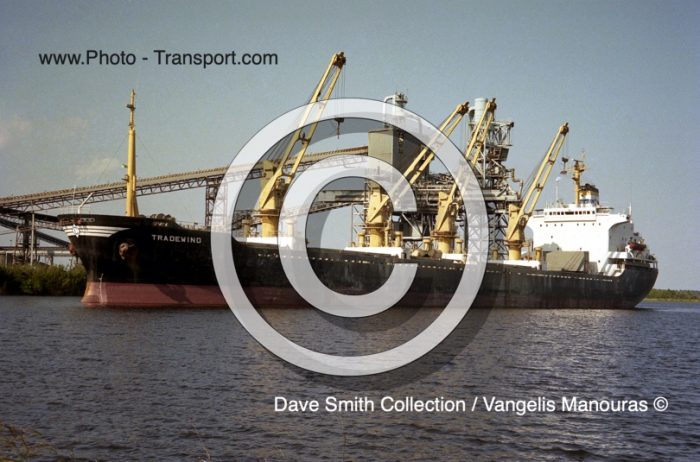 TRADEWIND  - Bulk Carrier