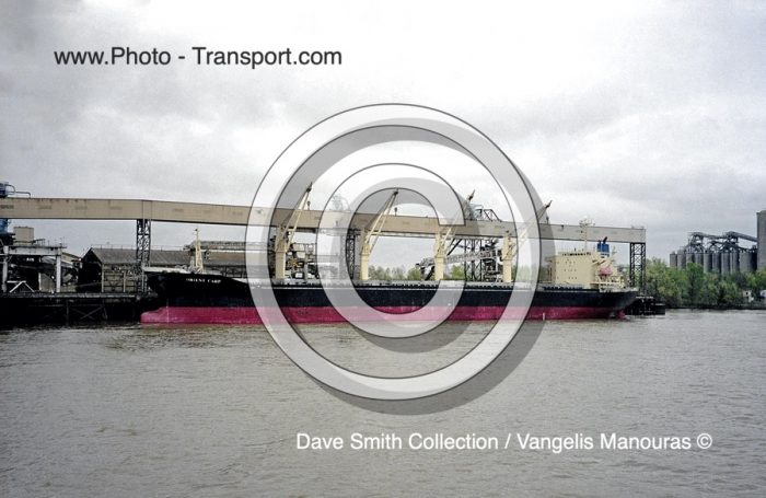 ORIENT CARP    -   Bulk Carrier