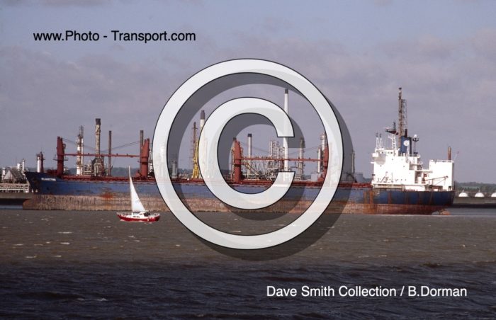 BELGREETING - Bulker