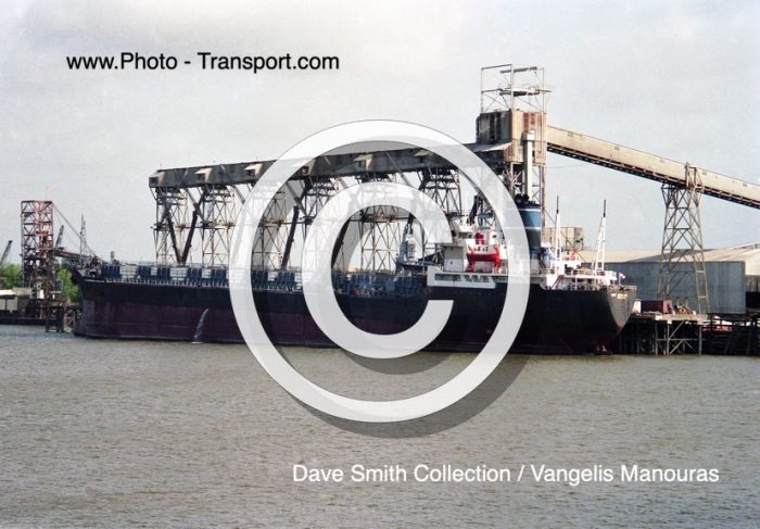 NEW VENTURE  -  Bulk Carrier