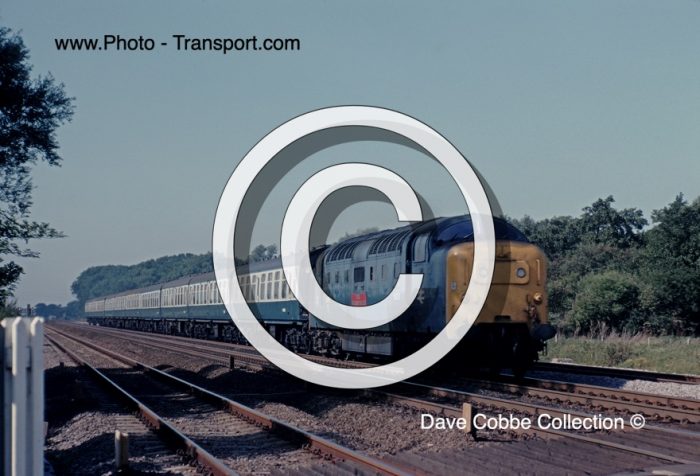 DELTIC CLASS 55 No.55019 ROYAL HIGHLAND FUSILIER