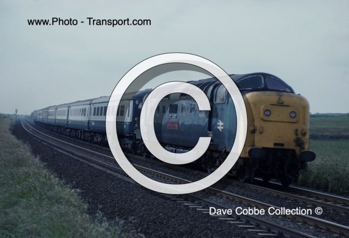 CLASS 55 No.55006 THE FIFE AND FORFAR YEOMANRY