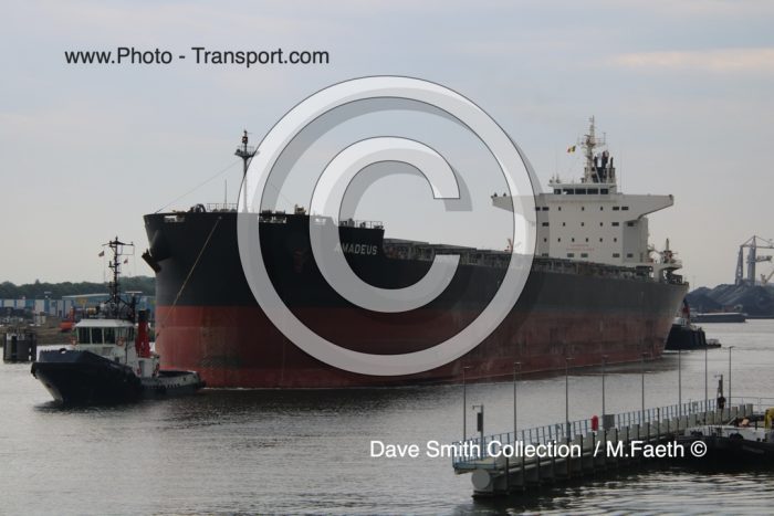 AMADEUS - Bulk Carrier