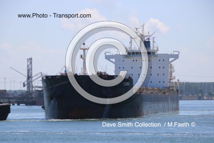 LEDRA - Bulk Carrier