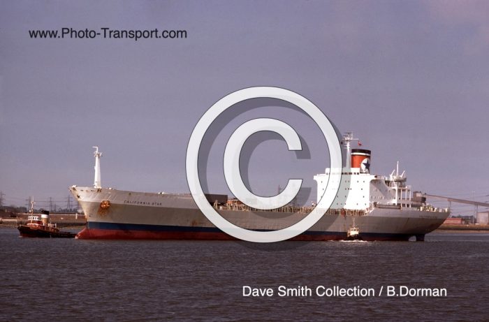 CALIFORNIA STAR  - Container -  Blue Star Line
