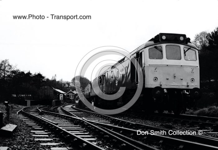 BR Class 25 No 25191/D7541 “THE DIANA “ & BR Class 25 No.D7628 ” SYBILLA” 