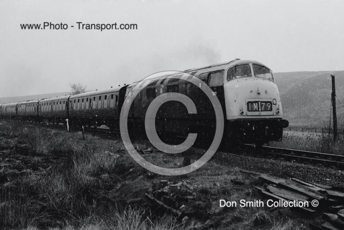 GWR Warship Class No.D821 GREYHOUND