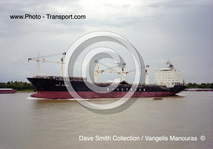 GREAT BLOSSOM  -  Bulk Carrier