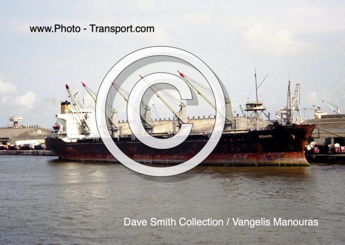 RONAVIS  -  Bulk Carrier