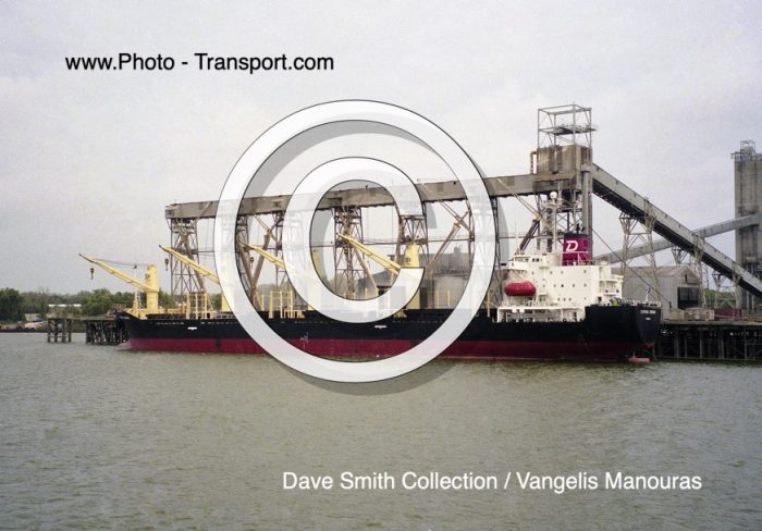 CYNTHIA CROWN   -  Bulk Carrier