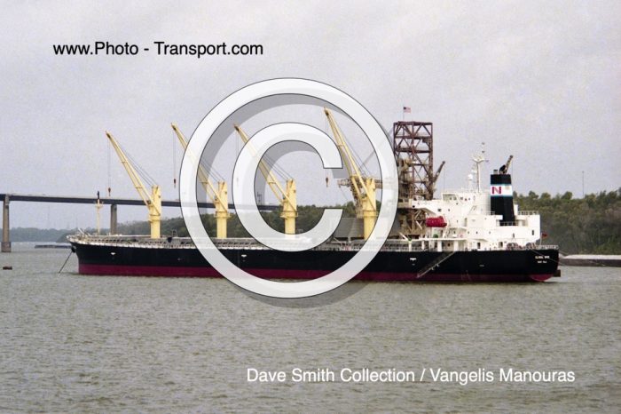 GLOBAL WIND -  Bulk Carrier
