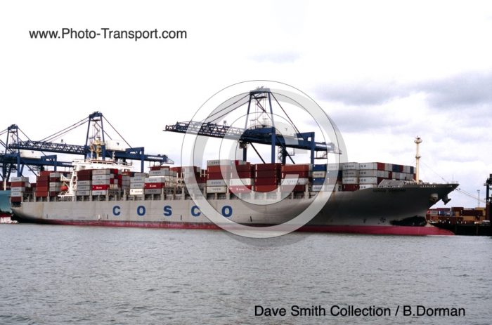 COSCO QINGDAO - Container
