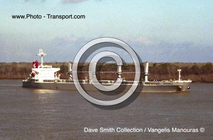 SPEEDWELL - Bulk Carrier