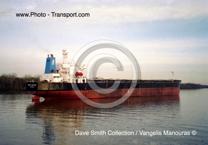 RED CEDAR  - Bulk Carrier