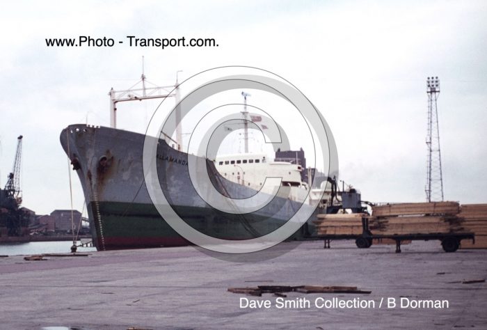 ALLAMANDA - Gen Cargo